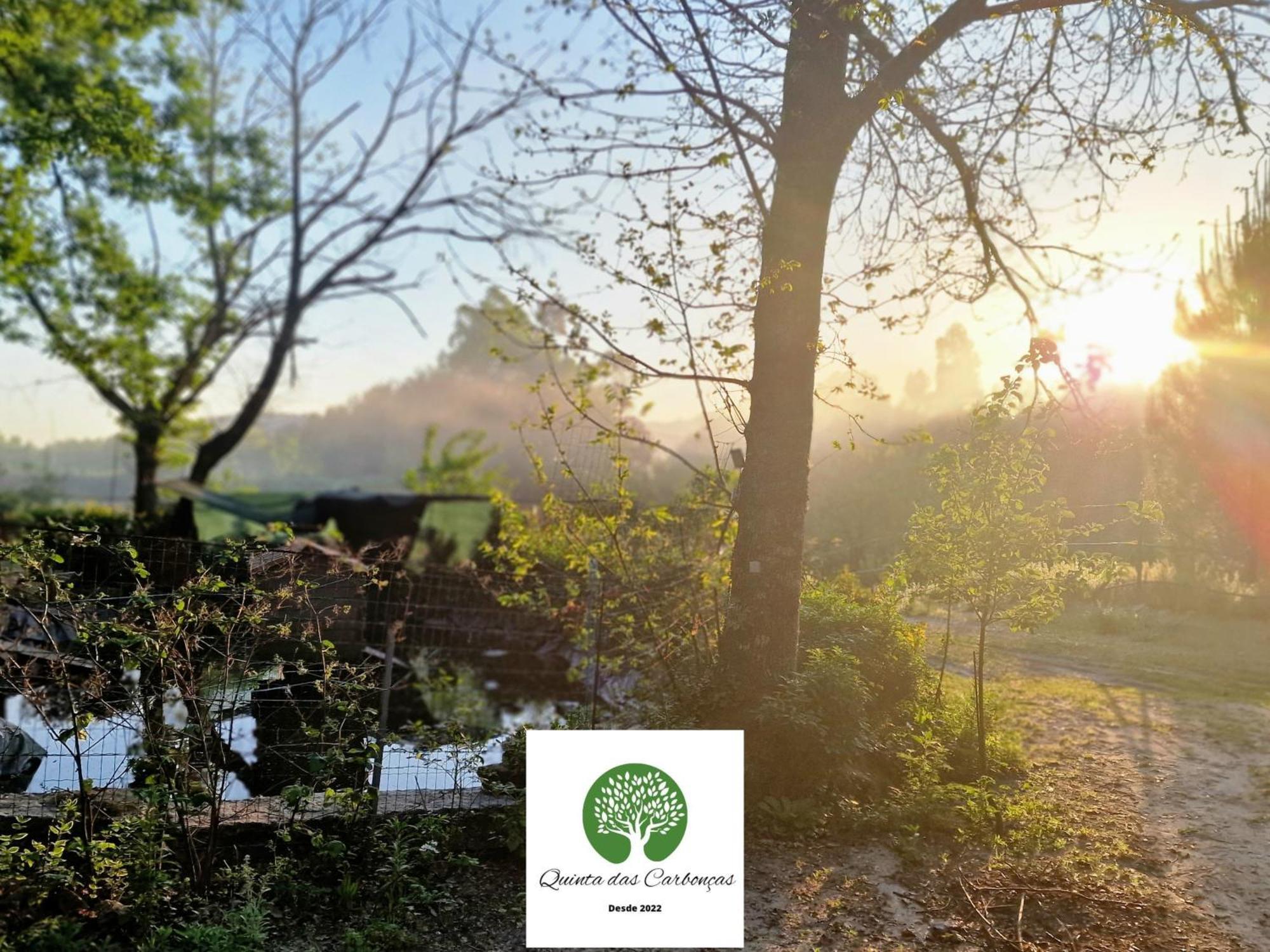 Quinta Das Carboncas Fafe Ngoại thất bức ảnh