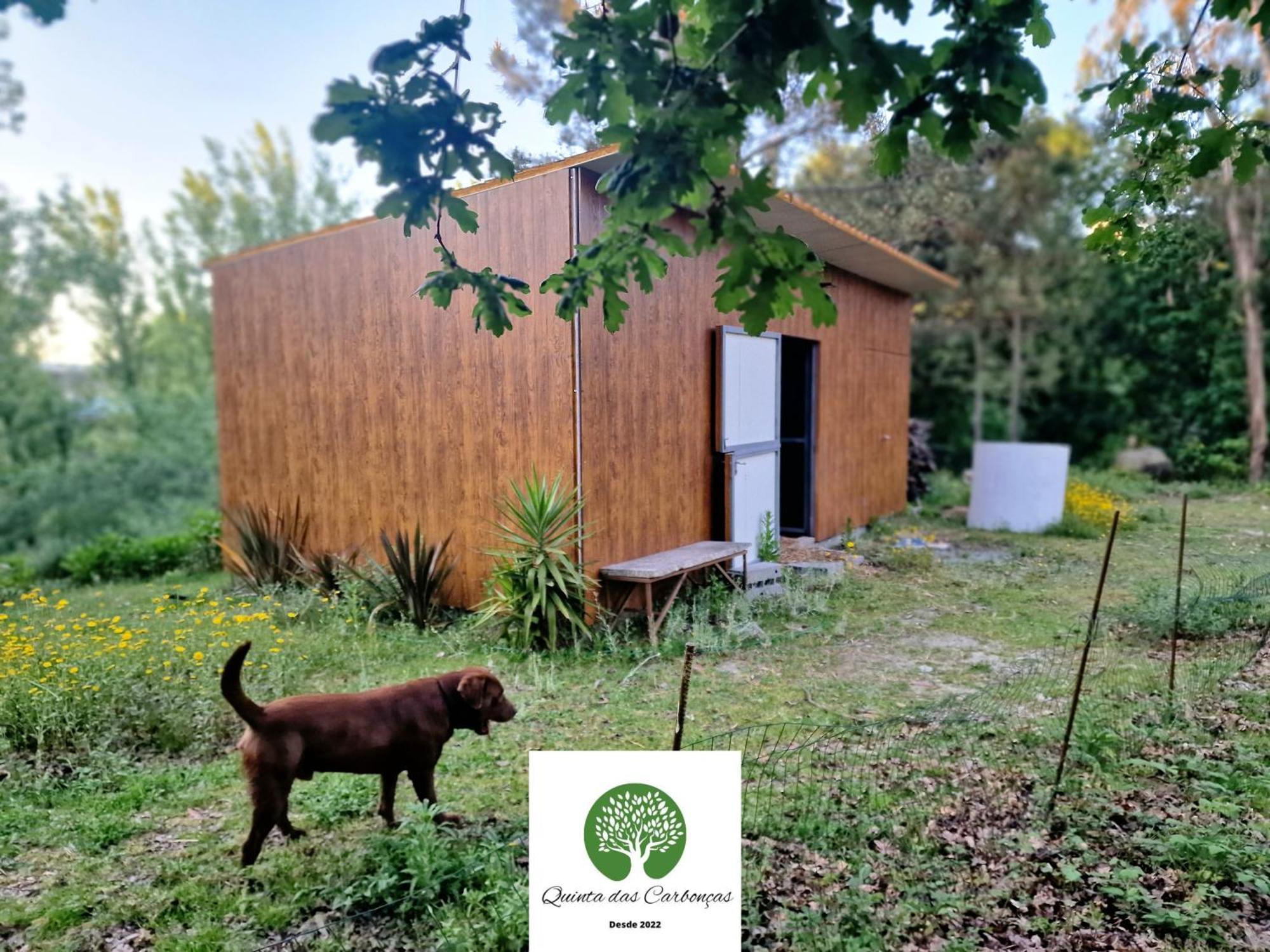 Quinta Das Carboncas Fafe Ngoại thất bức ảnh