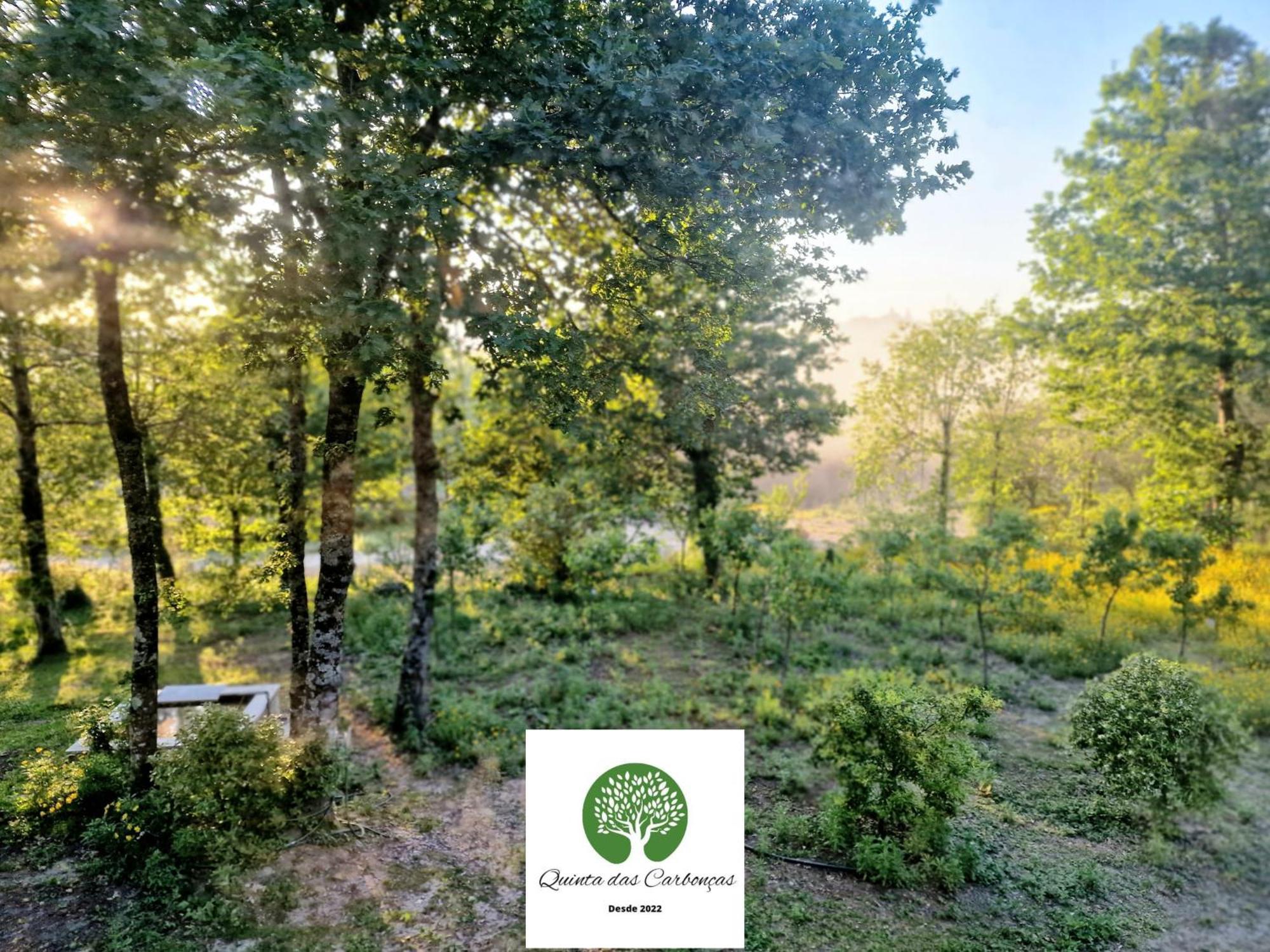 Quinta Das Carboncas Fafe Ngoại thất bức ảnh